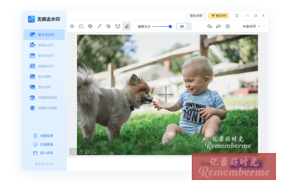 图片/视频去水印
