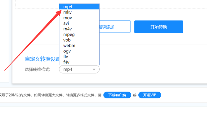 选择转换格式