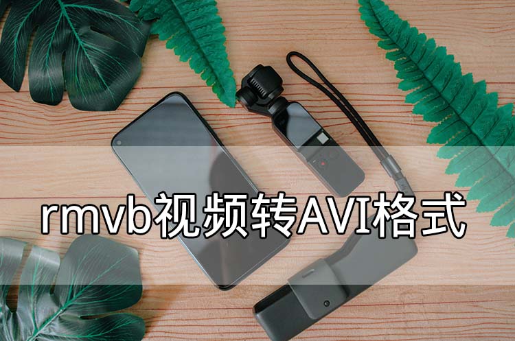 rmvb视频转AVI格式