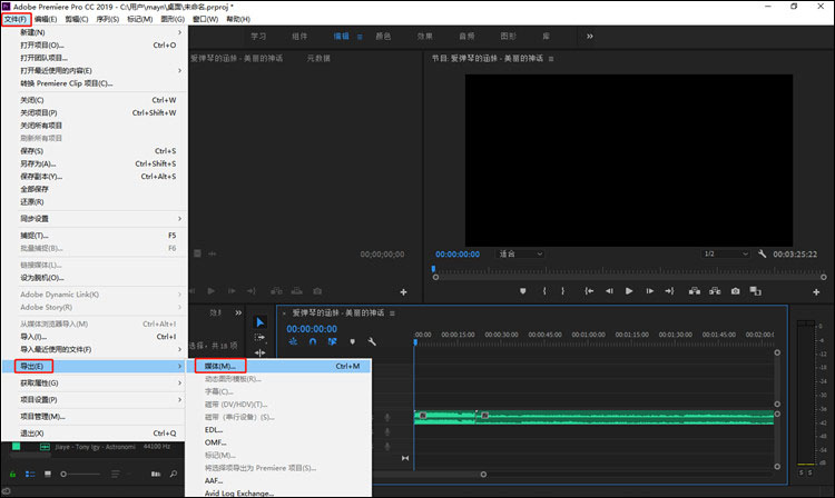 Adobe Premiere Pro