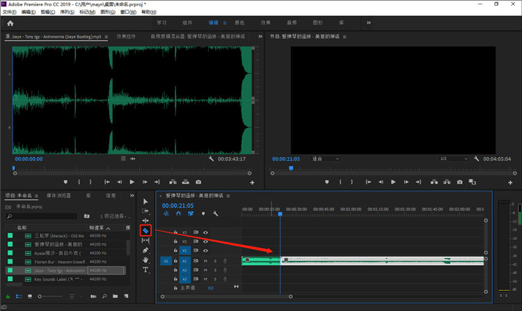 Adobe Premiere Pro