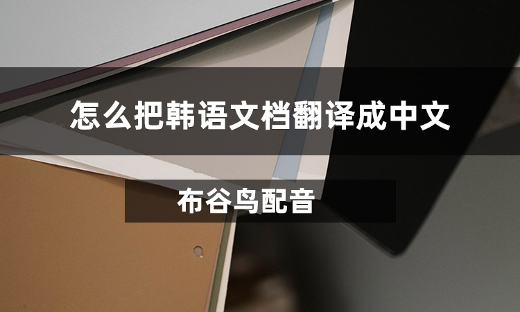 怎么把韩语文档翻译成中文