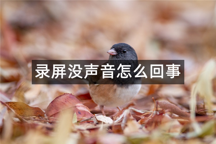 首图