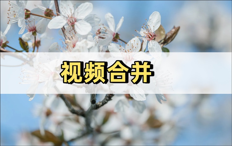 视频合并