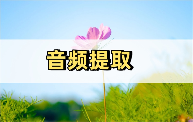 音频提取怎么操作